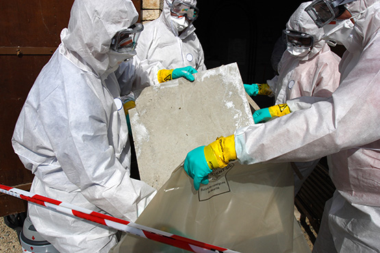 Asbestos Management